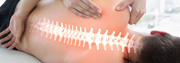 Chiropractic New Orleans LA Chiropractic Is Necessary Chiropractic New Orleans LA Chiropractic Is Necessary